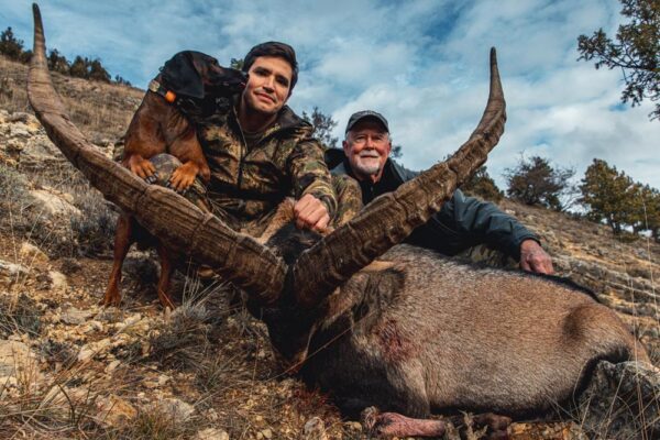 beceite-ibex-hunting
